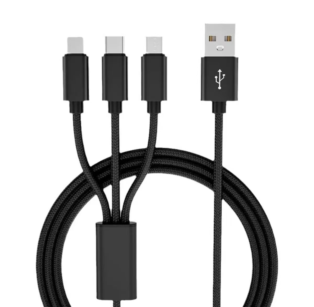 Multi-port data cable